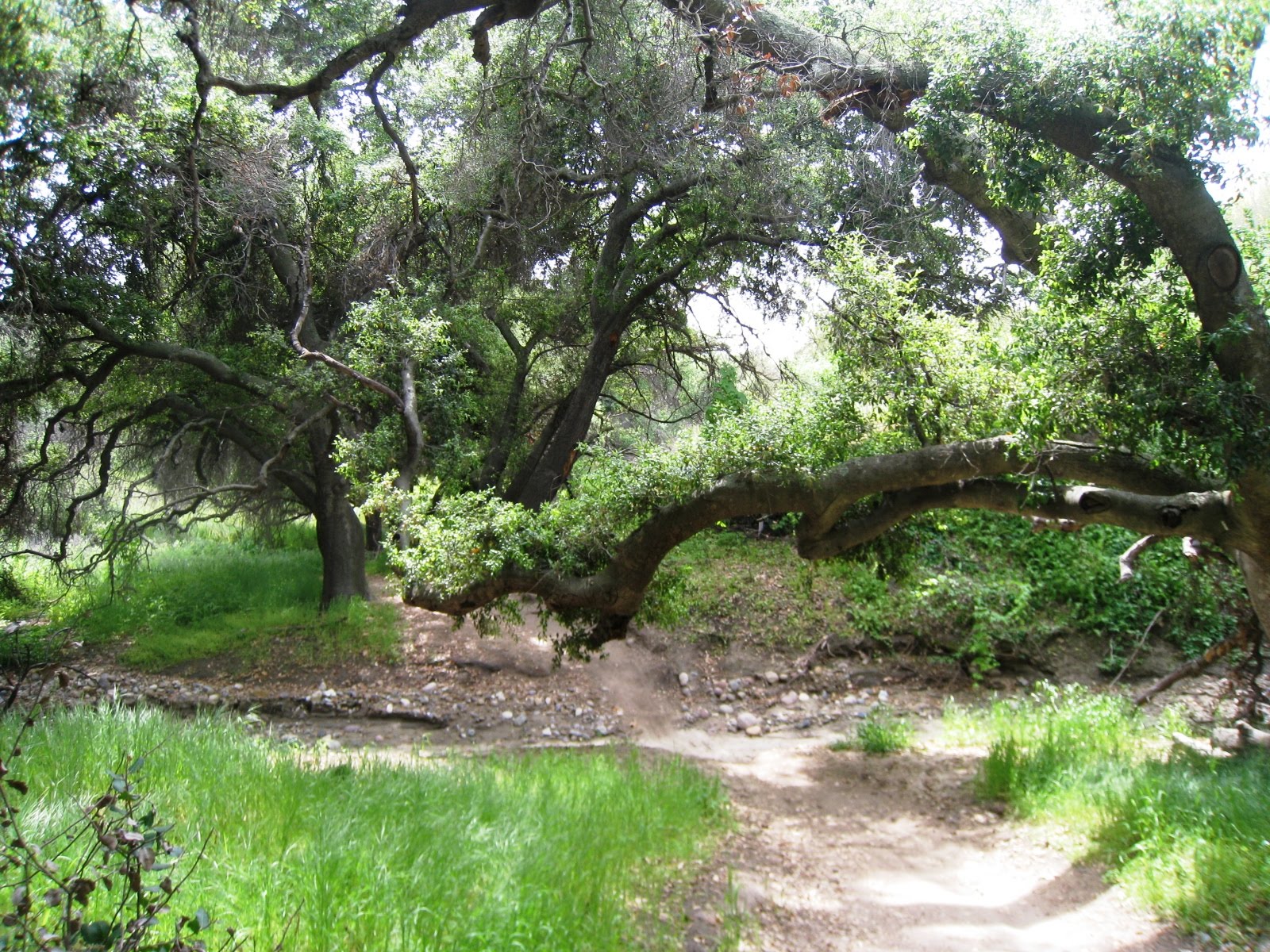 Web whiting ranch wilderness park has 4.5 stars. Brian and Ashley's Hiking Blog! Whiting Ranch Wilderness Park (Portola