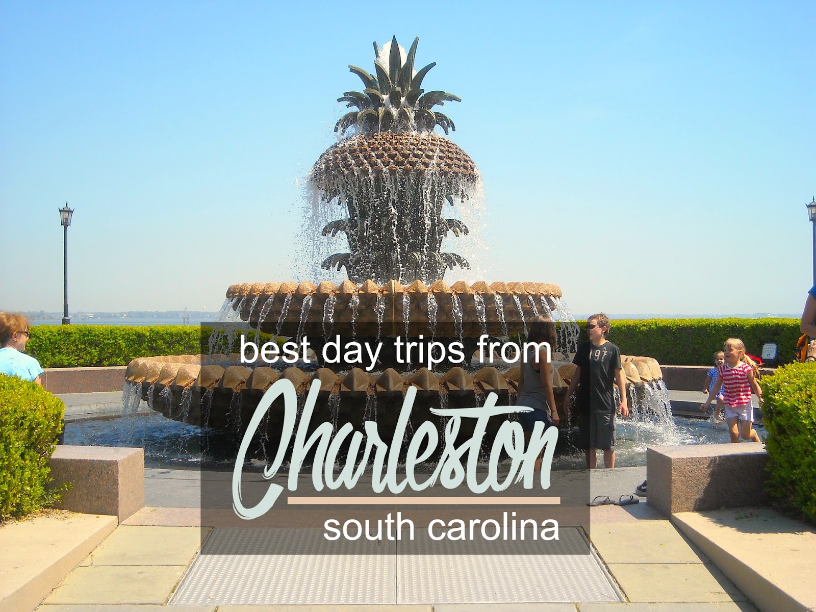 Escaping the Holy City the Best Day Trips from Charleston, SC Cosmos