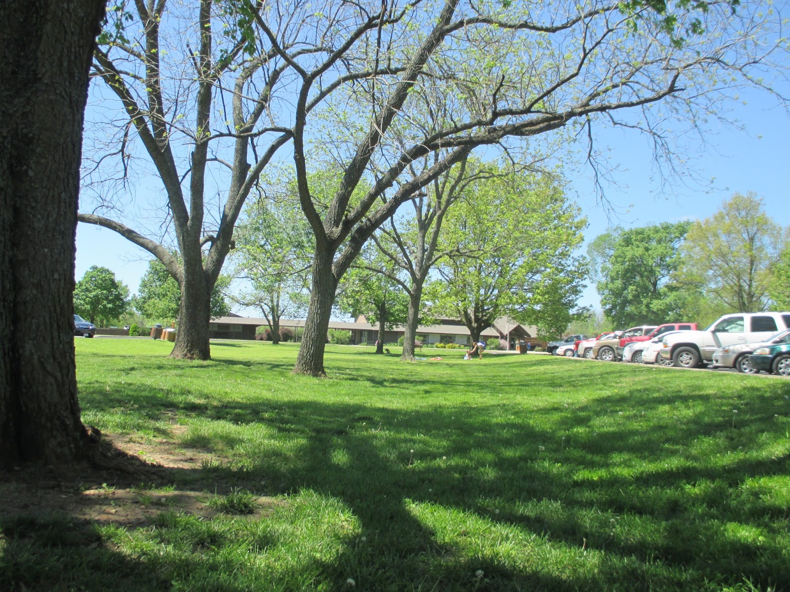 His scientific exploration began when he was a child living on the moses carver farm. Backyard Excursions Art in the Park at Washington Carver