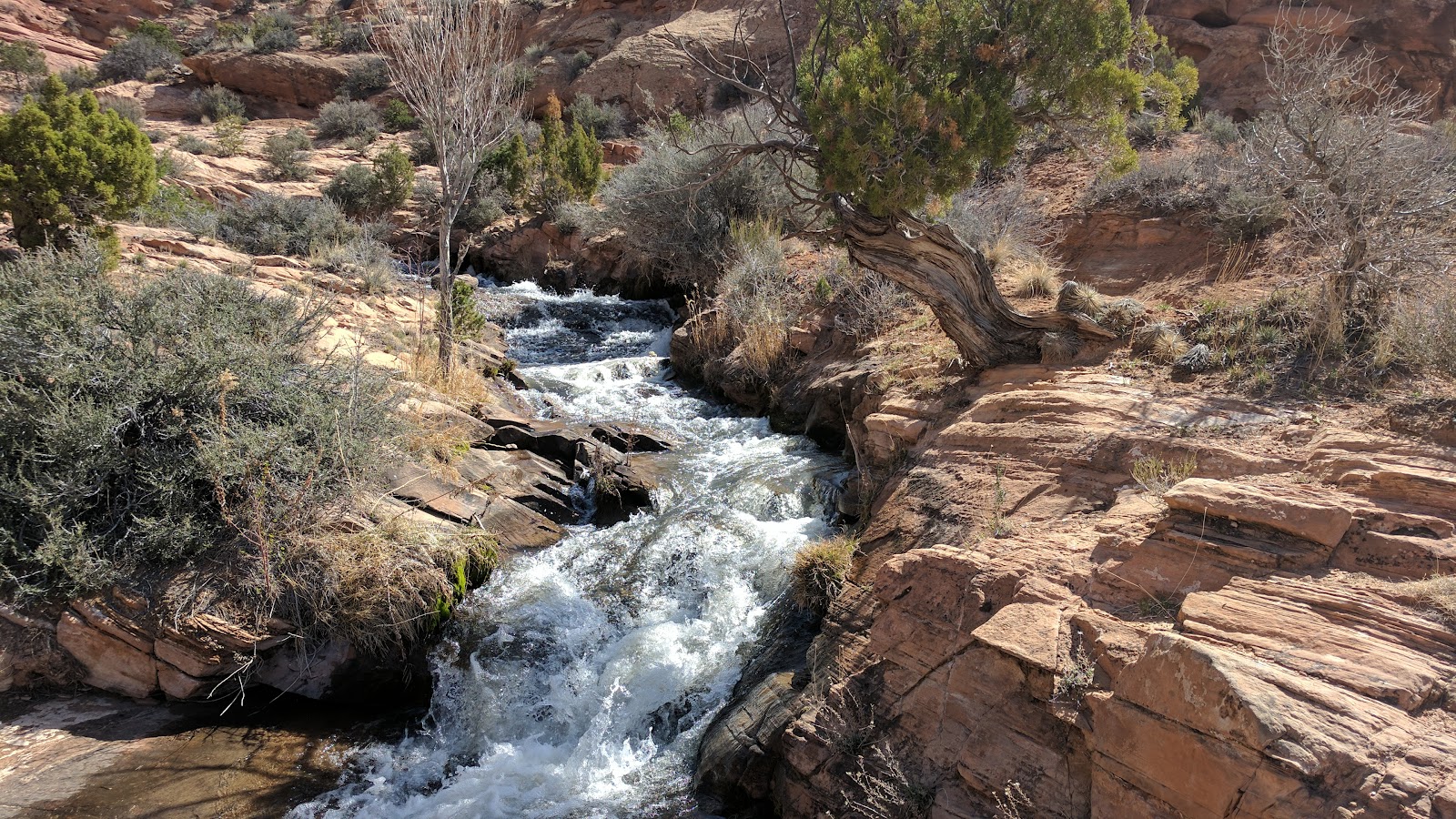 Standard nonelectric enter dates to check availability site details campfire allowed: Sock Monkey Trekkers Moab Area Ken's Lake Campground, Faux Falls