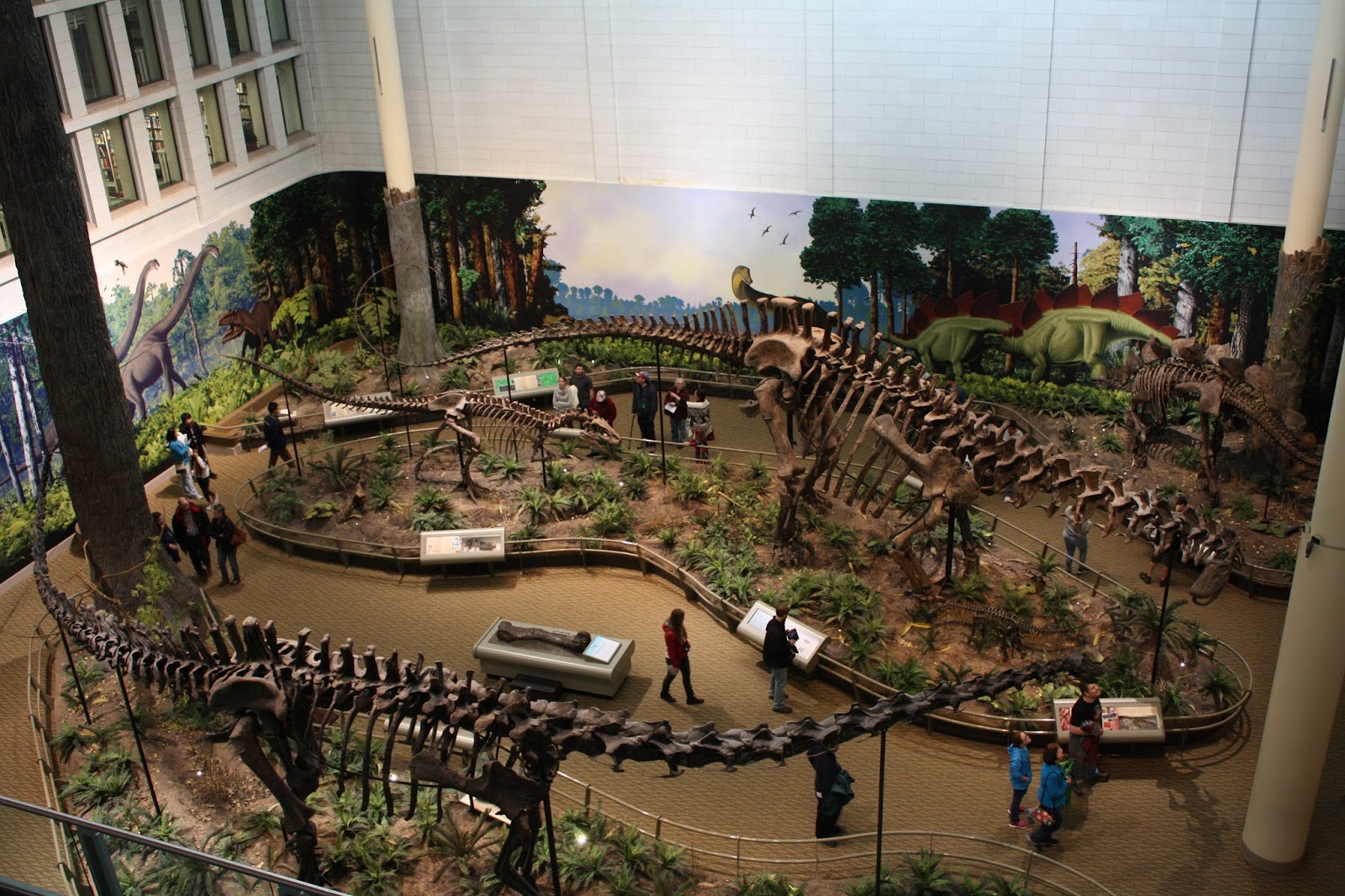 The museum features memorable dinosaur displays enjoyable for all ages. A Little Time and a Keyboard Walking with the Dinosaurs at the